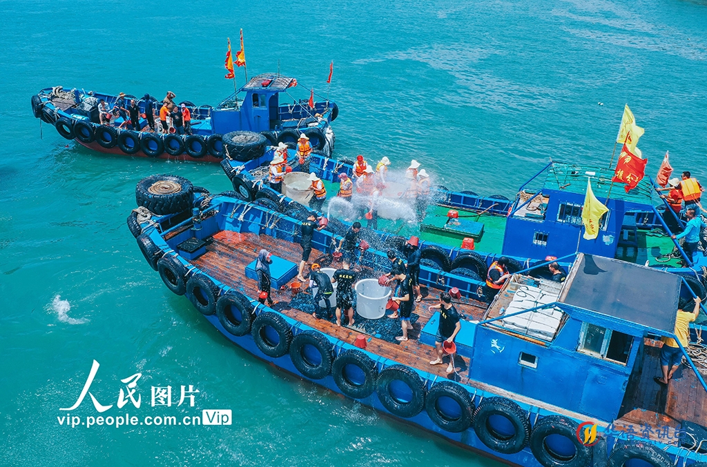 福建石狮：渔民文化节 展现别样风情