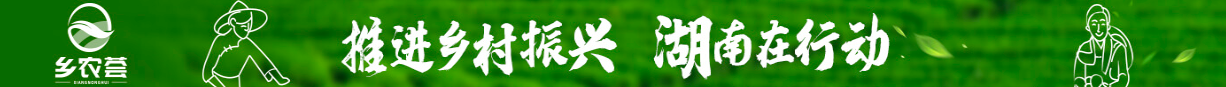 湖南广告