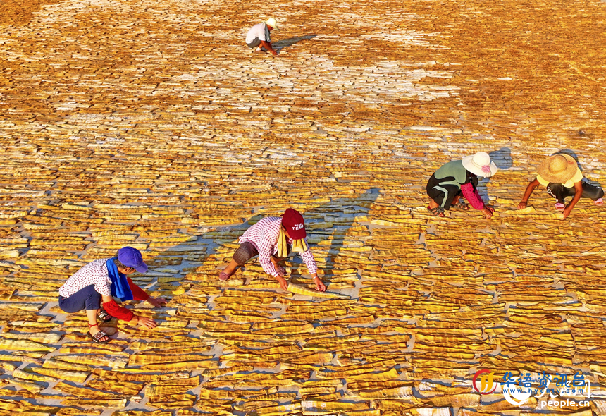 在乐安县招携村汗上村晾晒场，村民在翻晒笋干，供应市场。人民网 朱海鹏摄