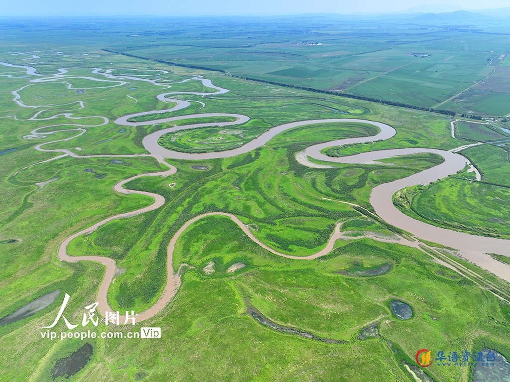 2023年7月4日,在黑龙江省双鸭山市饶河县拍摄的黑龙江挠力河国家级自然保护区夏日美丽风光。