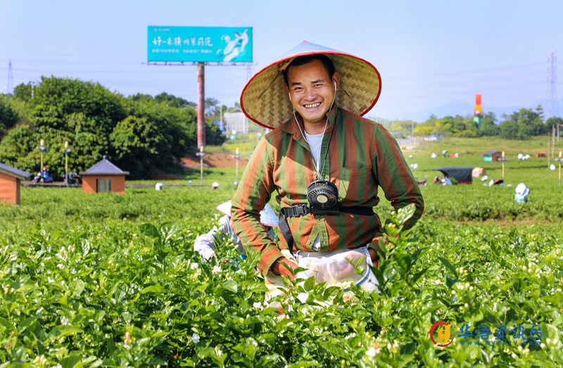黄汝德摄