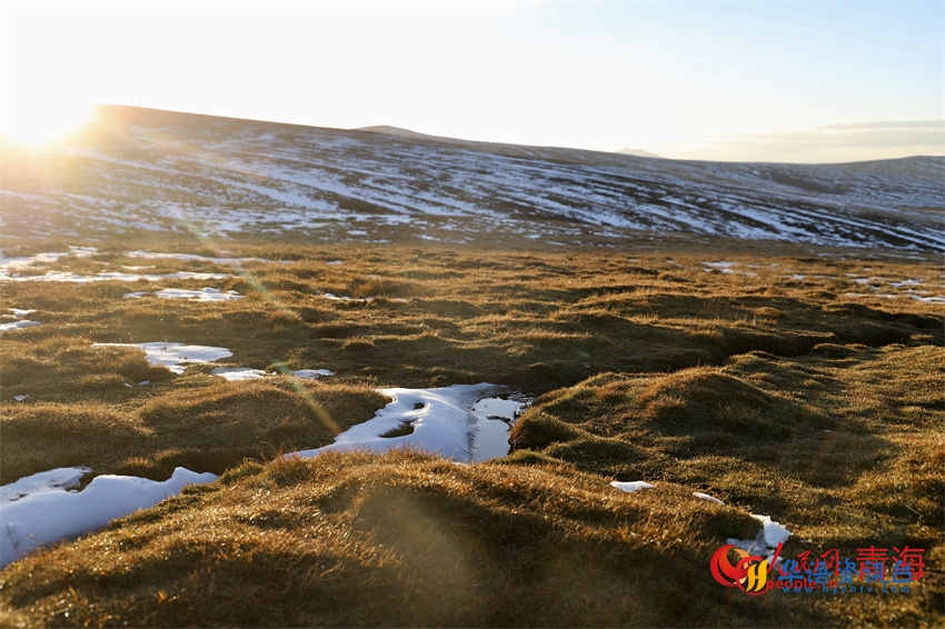 黄河源区秋色浓。人民网 陈明菊摄