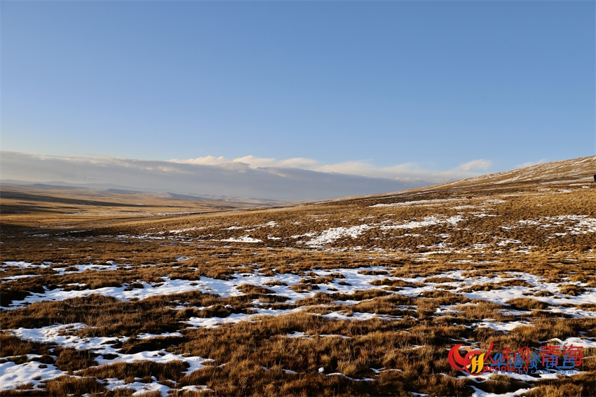 黄河源头草木青黄，秋色渐浓。人民网 陈明菊摄