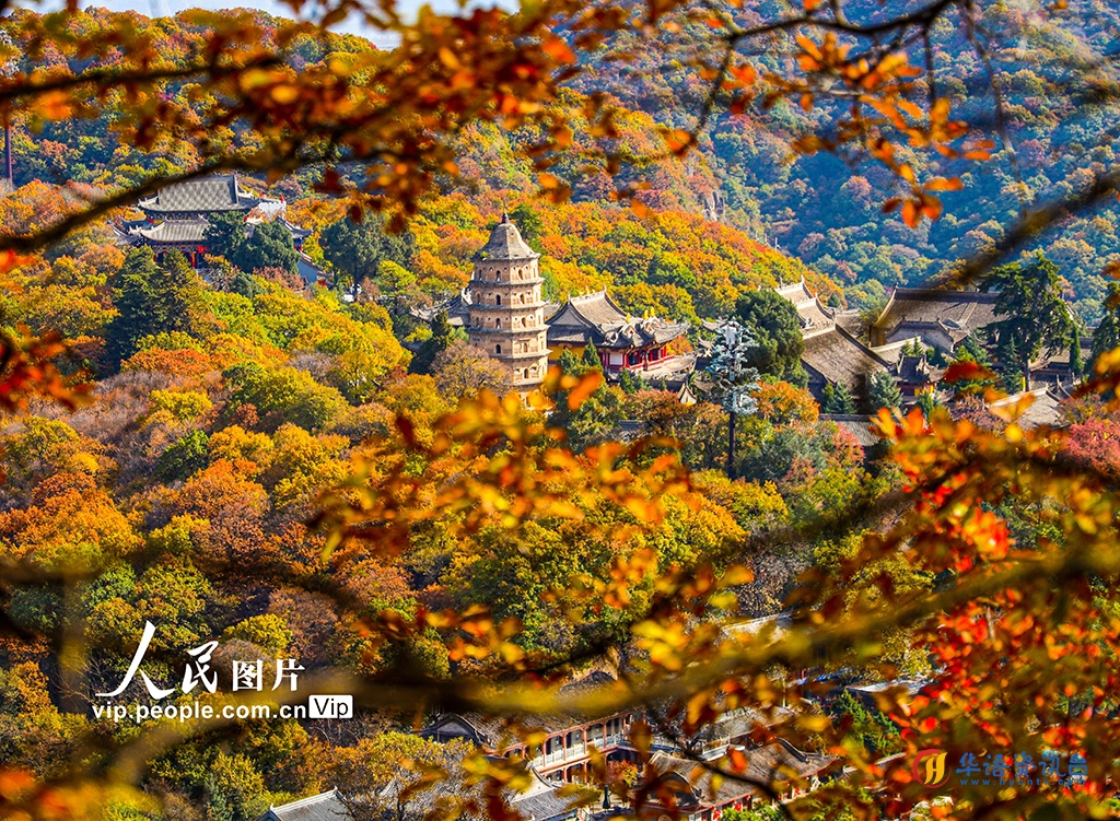 甘肃平凉：崆峒山进入秋景最佳观赏期