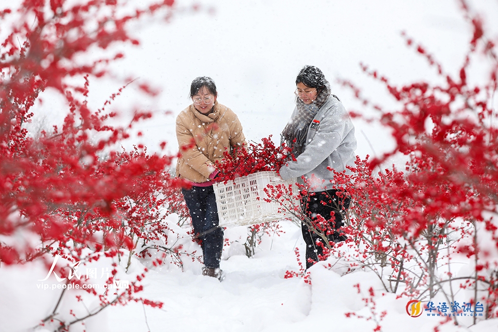 山东威海：寒冬下的“热”经济