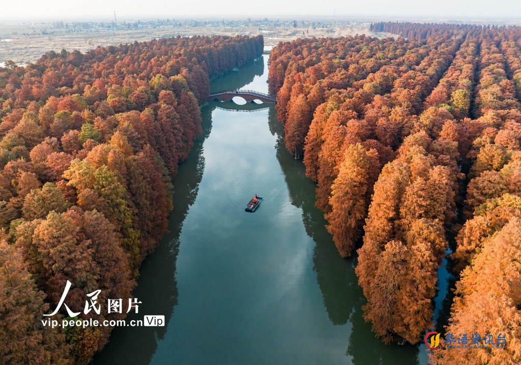 2023年12月9日拍摄的里下河国家湿地公园美景。