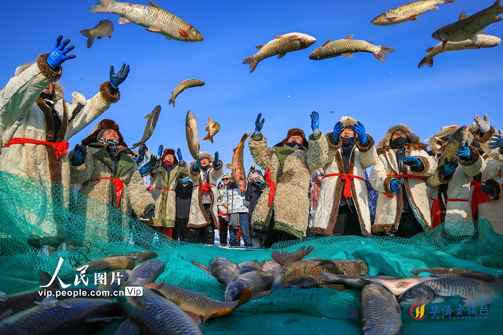 新疆博湖：冬捕鱼跃人欢