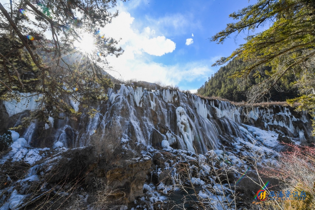 这是1月4日在四川省九寨沟风景名胜区拍摄的诺日朗瀑布形成的冰瀑景观。