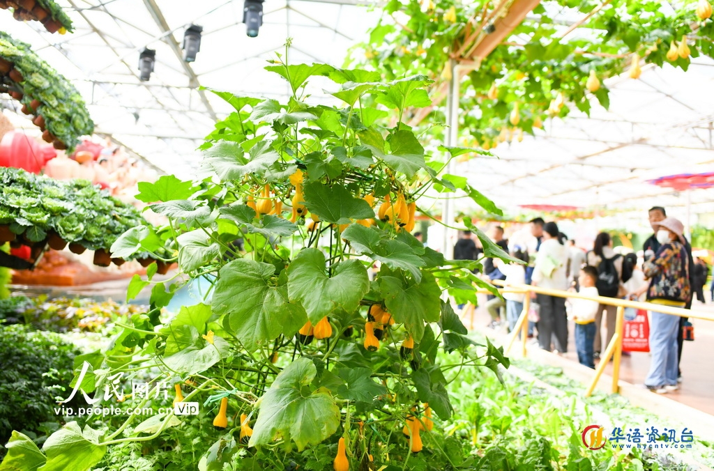 第二十五届中国（寿光）国际蔬菜科技博览会开幕