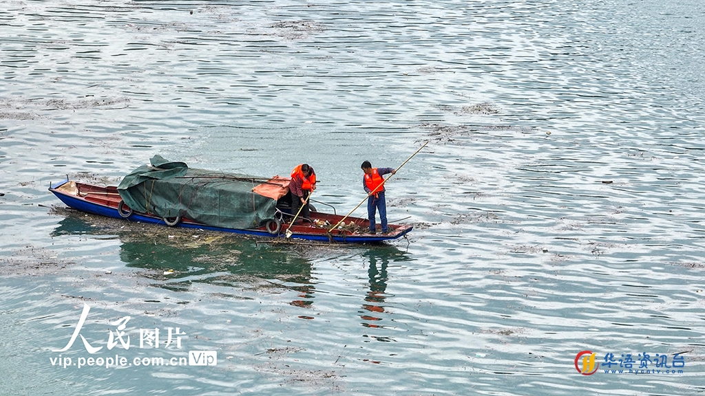 重庆酉阳：乌江河道清漂忙