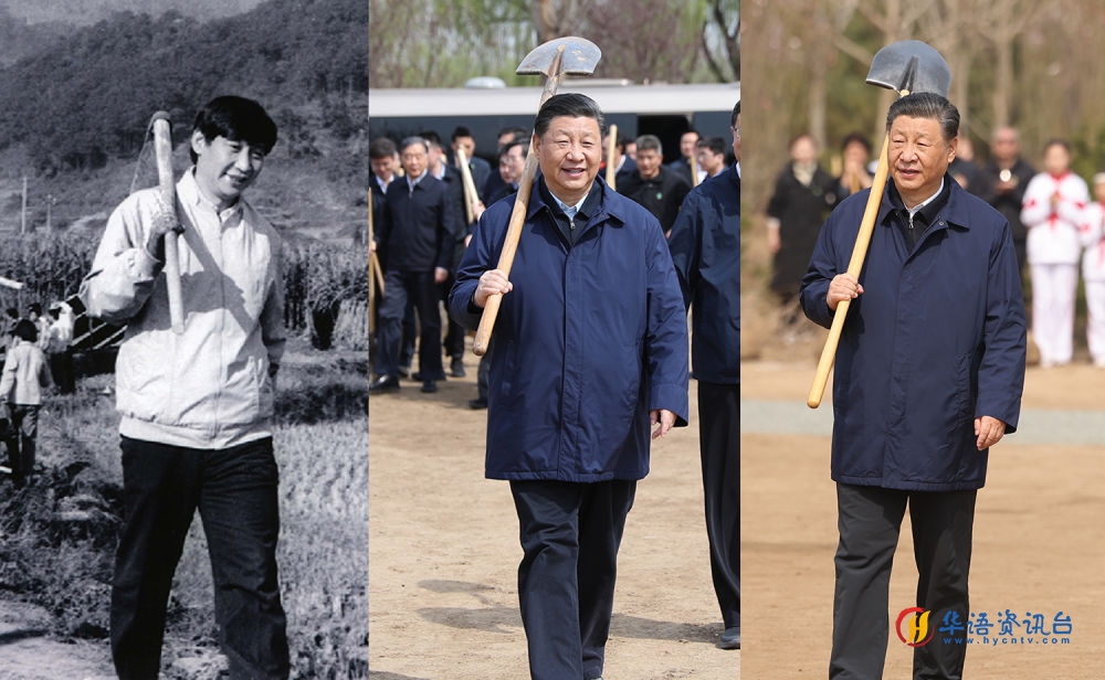 左图为1989年，时任宁德地委书记的习近平，在田间地垄同群众一起劳作；中间图为2019年4月8日，习近平总书记来到北京市通州区永顺镇参加首都义务植树活动；右图为2024年4月3日，习近平总书记来到北京市通州区潞城镇参加首都义务植树活动。
