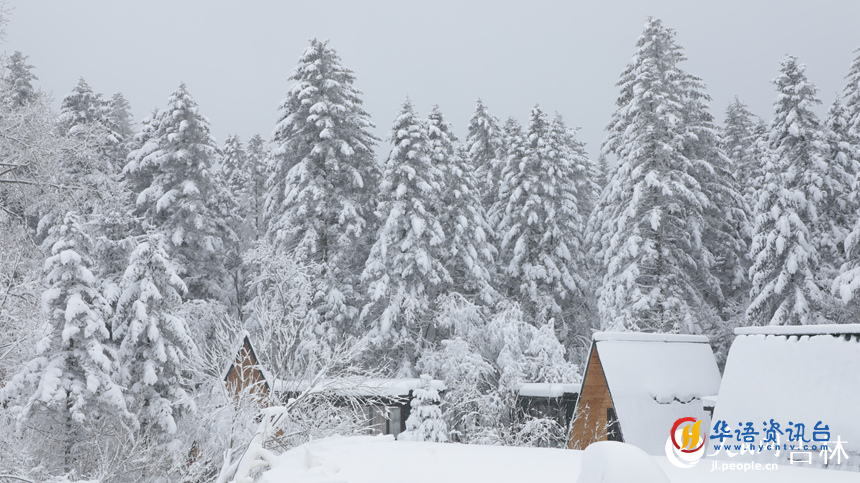 吉林老里克湖：雪凇压枝头，林海雪原美不胜收