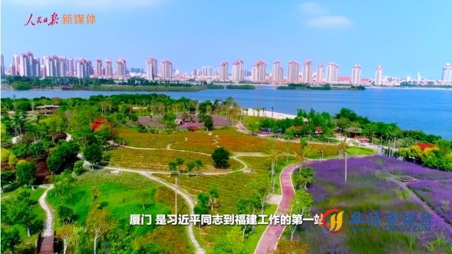 参天之木有其根——习近平同志在福建金融实践探索的三个故事