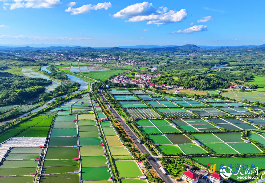抚州市南丰县太和镇丹阳村，公路沿线的水产养殖塘星罗棋布、色彩斑斓，与周边农房、稻田、青山交相辉映。人民网 朱海鹏摄