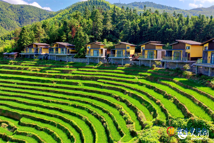 赣州市崇义县上堡乡，层层叠叠的梯田沿山势绵亘蜿蜒，与错落有致的农房、民宿相互映衬。人民网 朱海鹏摄