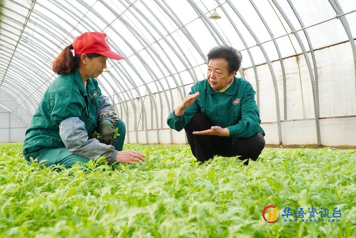 2023年2月20日，在山东省曹县五里墩村，王银香（右）在生态农场里与村民交流。新华社记者 徐速绘 摄