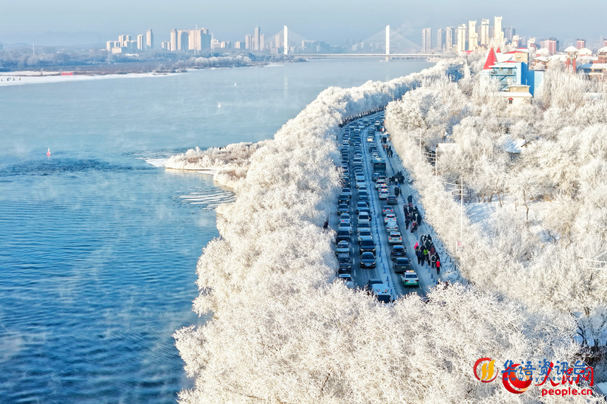 1月17日，吉林市阿什哈达雾凇观赏带现绝美雾凇景观。人民网记者 李洋摄