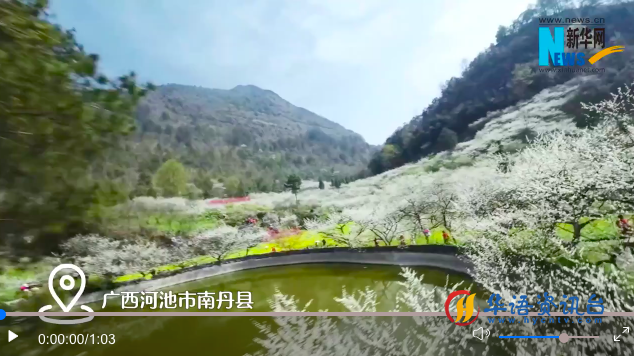 穿越机视角带你沉浸式感受春日浪漫