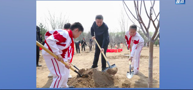 第1视点｜习近平：为建设美丽中国增绿添彩