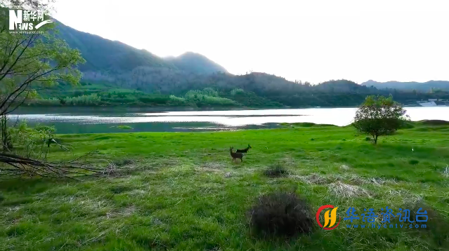 甘肃和政：夏日牙塘水库风景如画