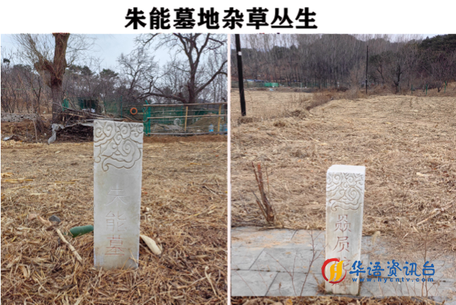 千里寻祖记 千里寻祖记